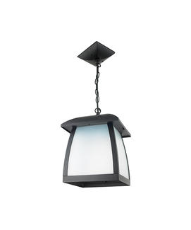 Black Lighting Pendant Lamp 4505