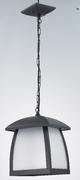 4505Aluminum Material Indoor And Outdoor Hanging Lamp